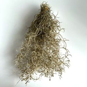 Natural Faux Spanish Moss Home Accent